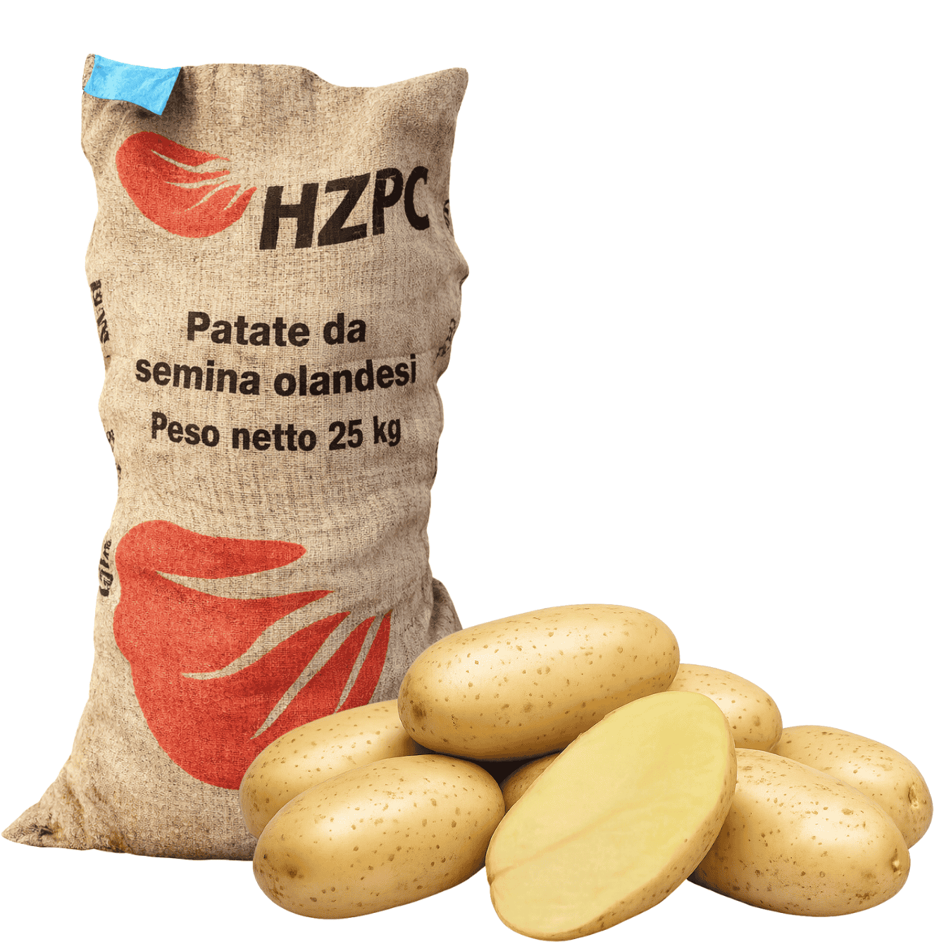 PATATE DRAGA