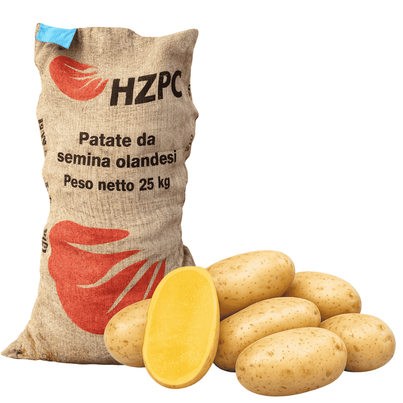 PATATE DA SEMINA FABULA