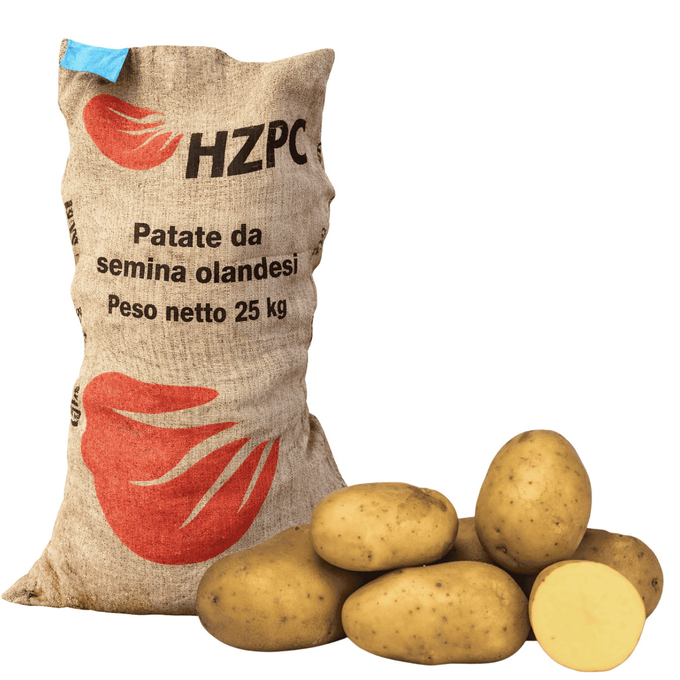 PATATE DA SEMINA Jaerla