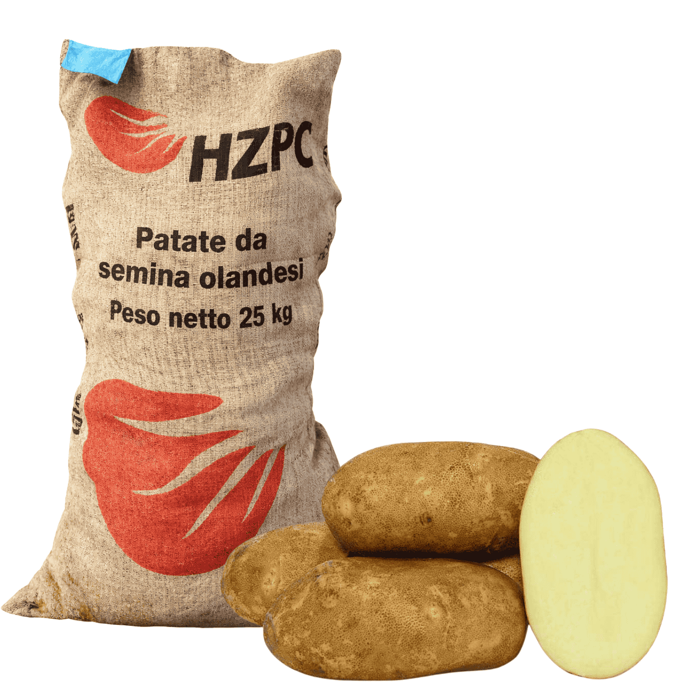 PATATE KANNEBECK