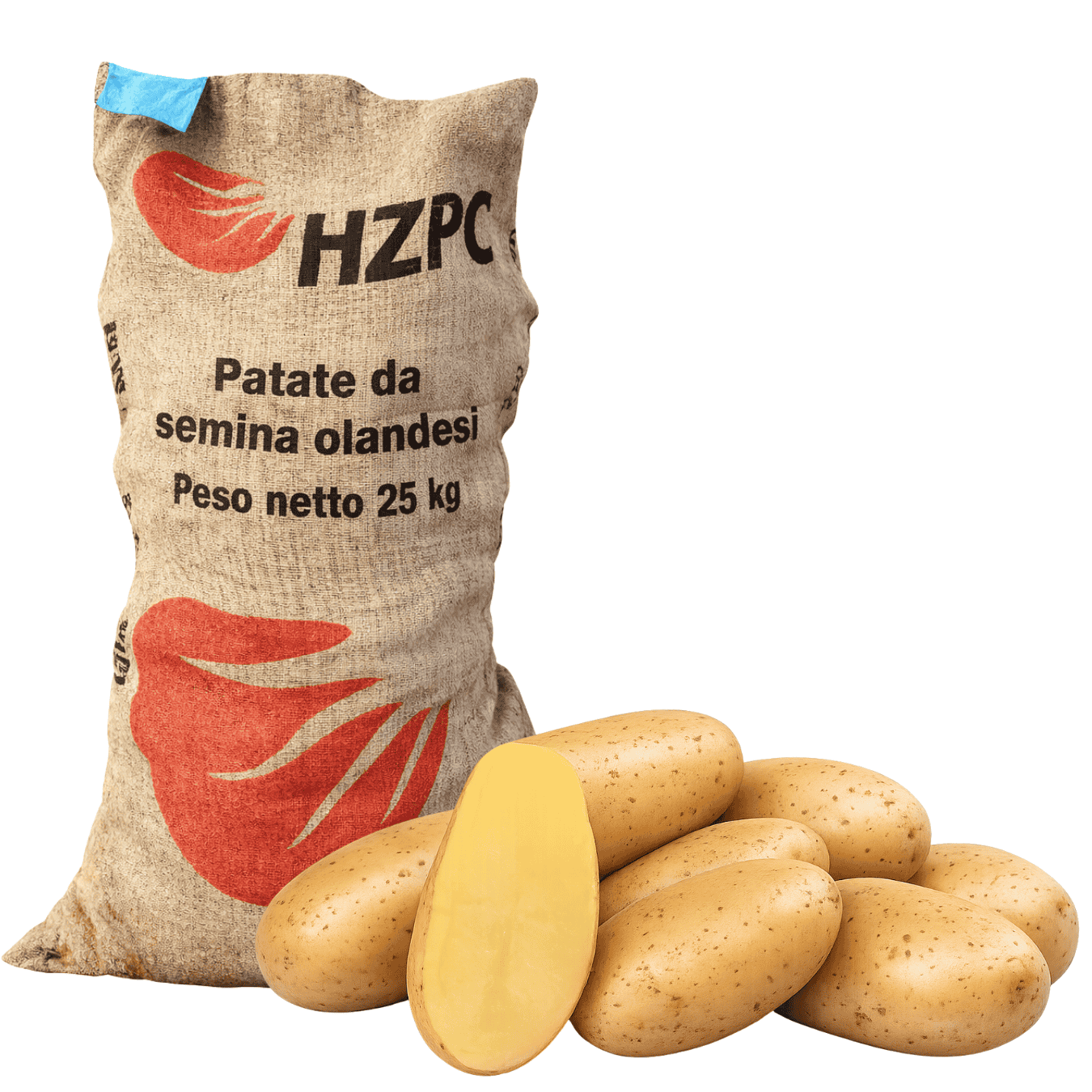 PATATE DA SEMINA LISETA