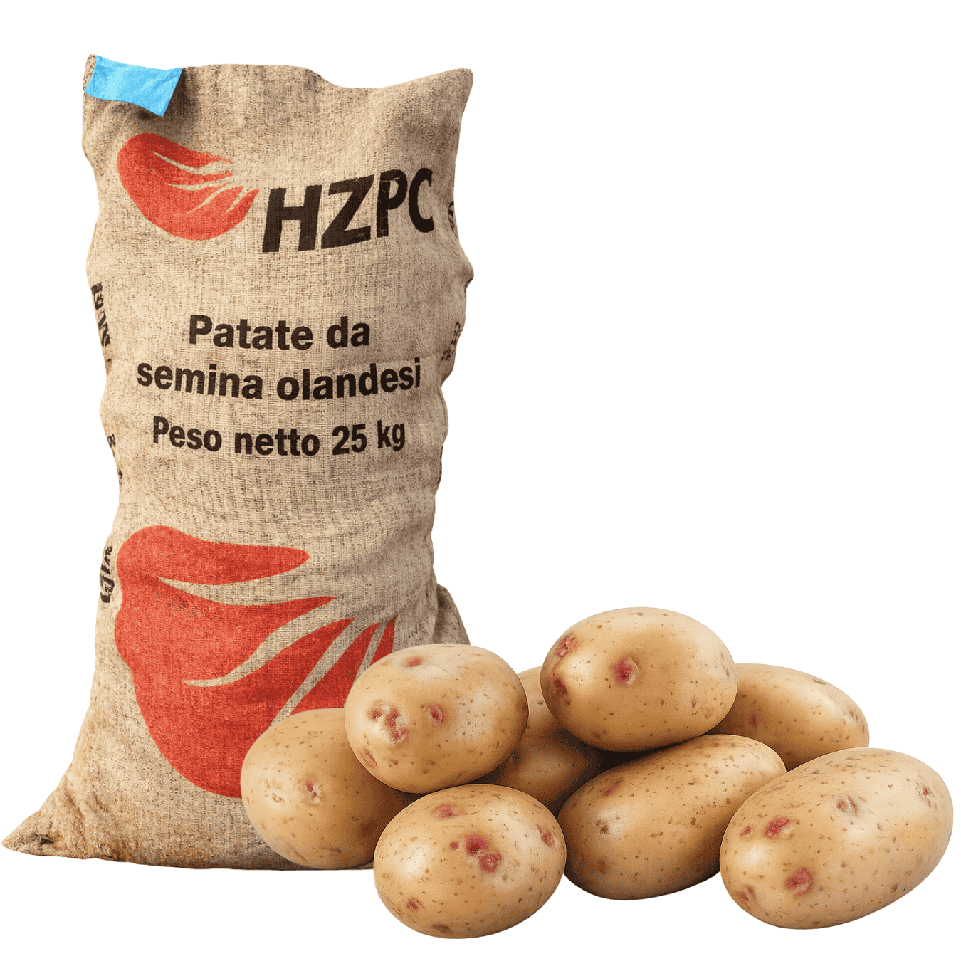 PATATE DA SEMINA PICASSO