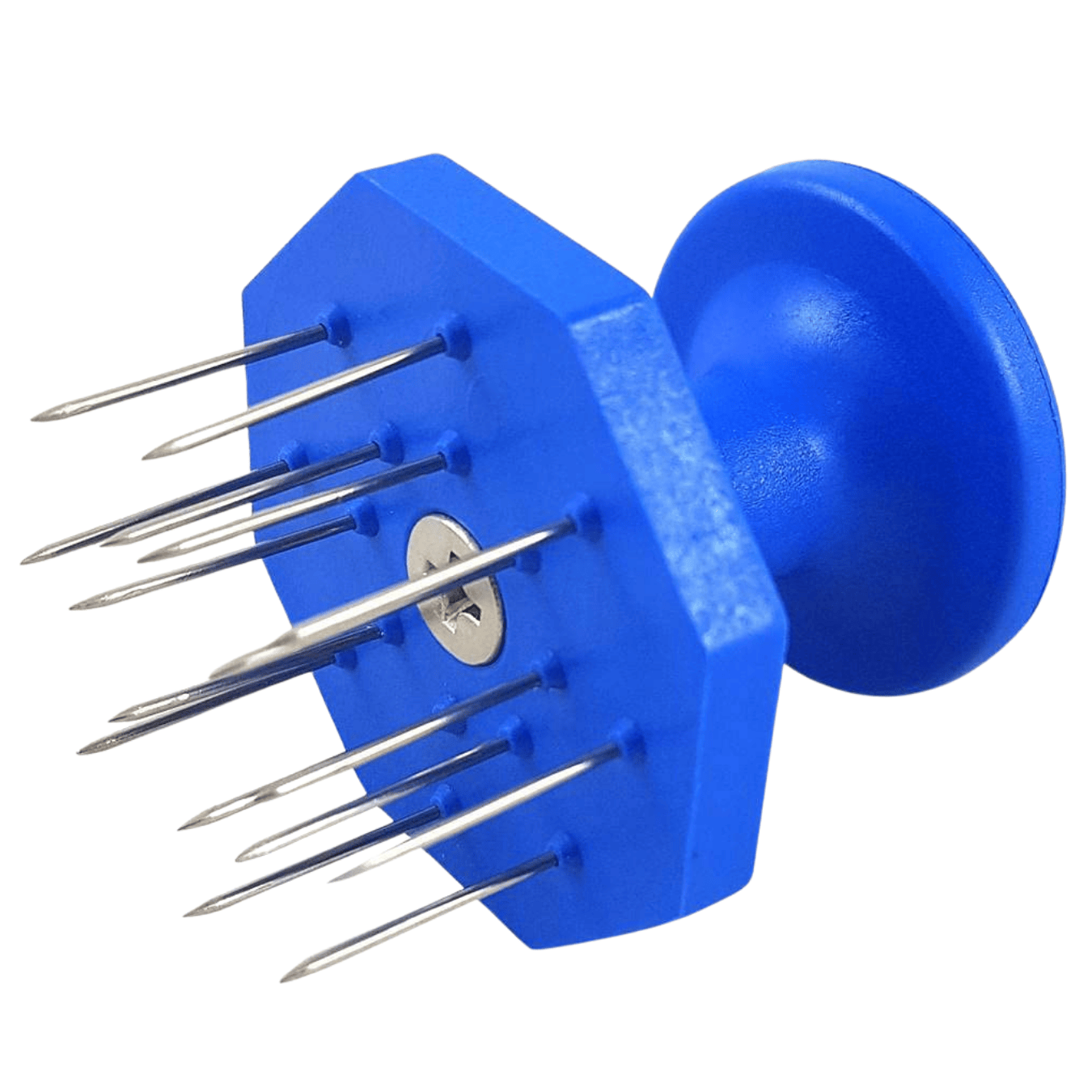 Pungisalame Professionale | Aghi In Acciaio Inox | Accessori Norcineria