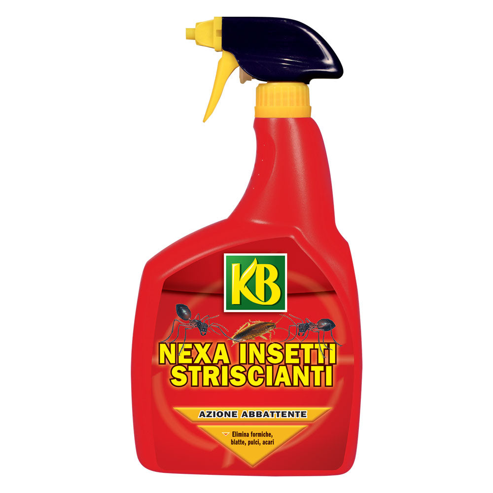 Insetticida Ambientale | KB